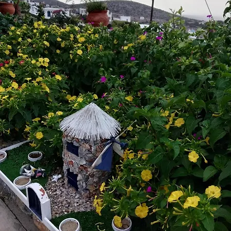 Alexandra's 公寓 伊拉克利亚岛