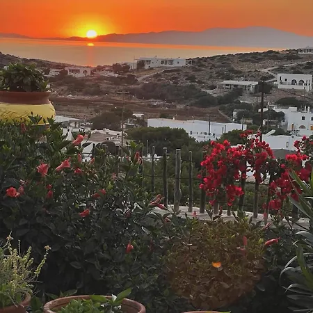 Alexandra's 公寓 *