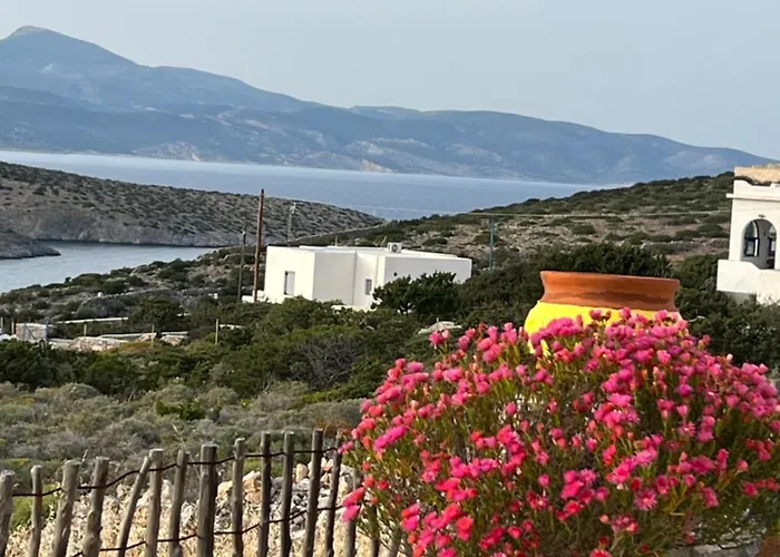 Alexandra's Apartment *