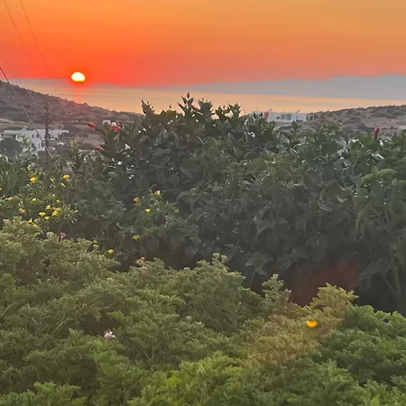 Alexandra's アパート