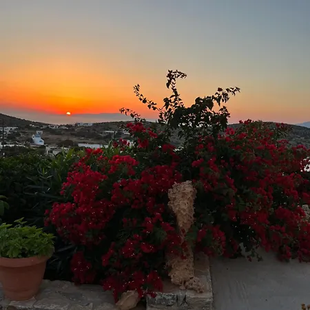 アパート Alexandra's